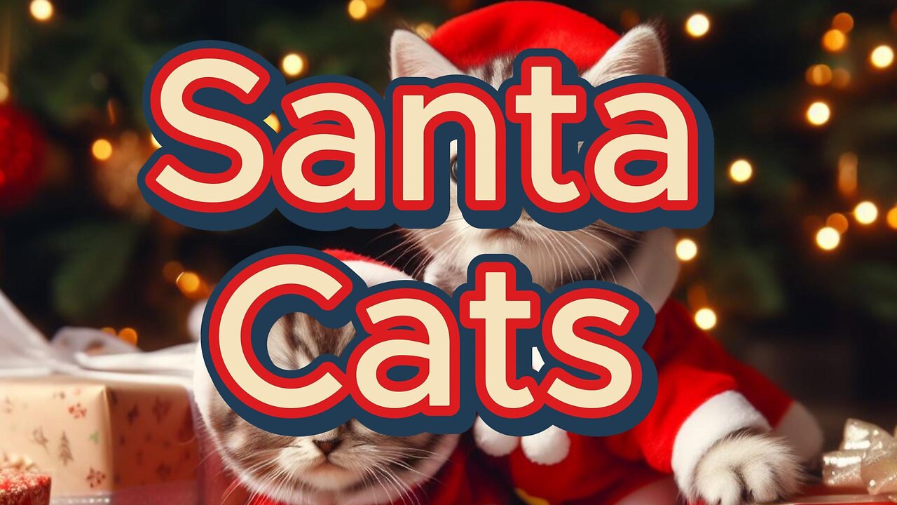 Santa Clause Paws Approved: 4 Amazing Cat Breeds for Your Christmas Gift List