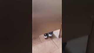 WTF IS GOING ON PART 1