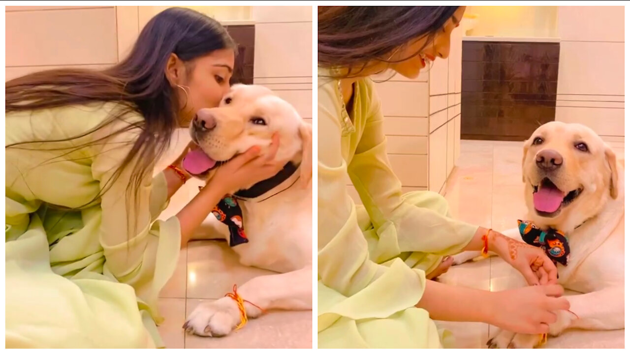 Rakhi bandan with dog .