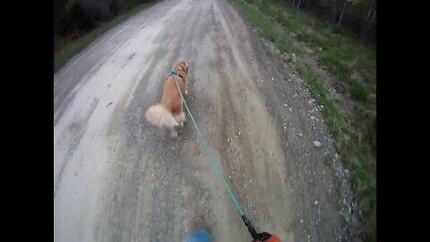 May 16th, 47º and partly sunny. Flynn and I check out the road grating work in Prentiss.