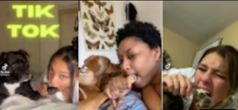 EATING YOUR PETS