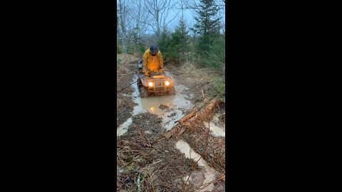 Kodiak 450 stuck