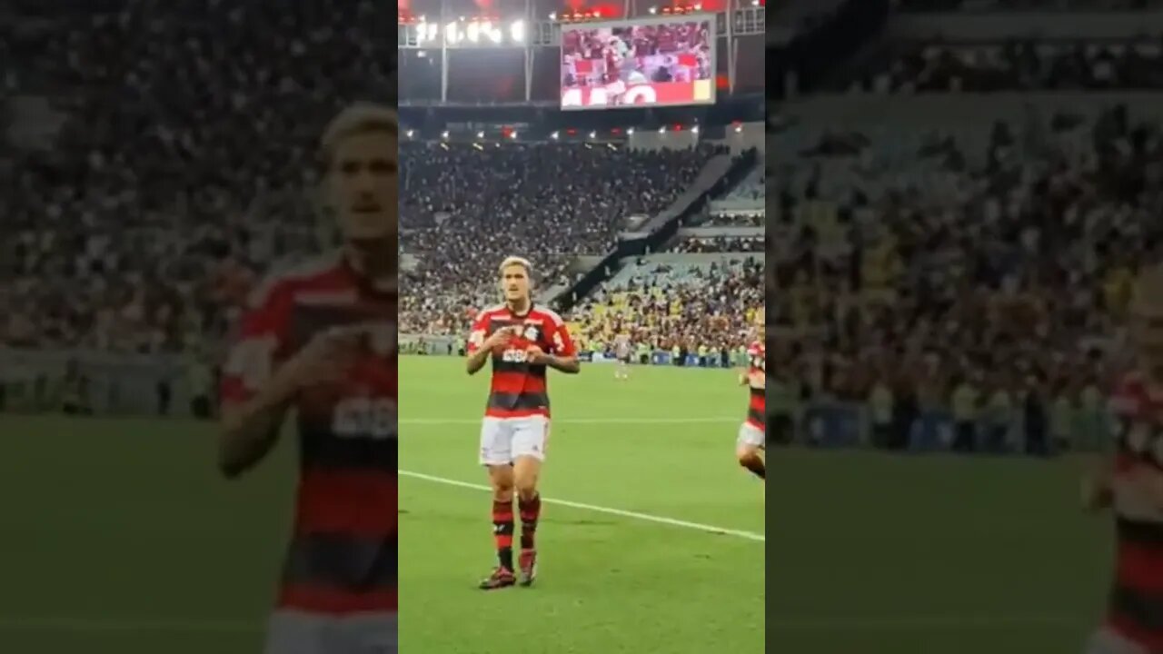LEI DO EX!!! GOL DO PEDRO CONTRA O FLUMINENSE
