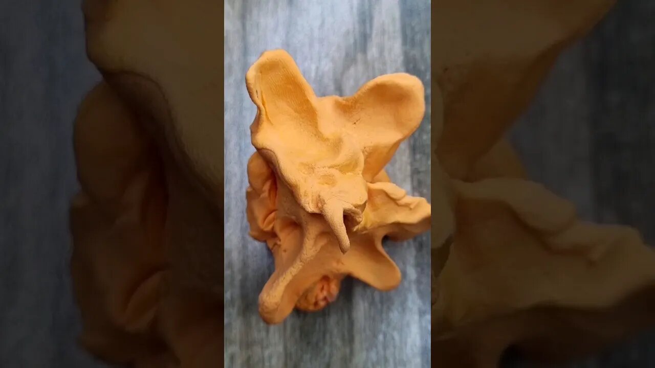 DIY how to make polymer clay cookies #shorts