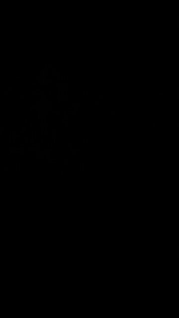 Liberal abortion extremism