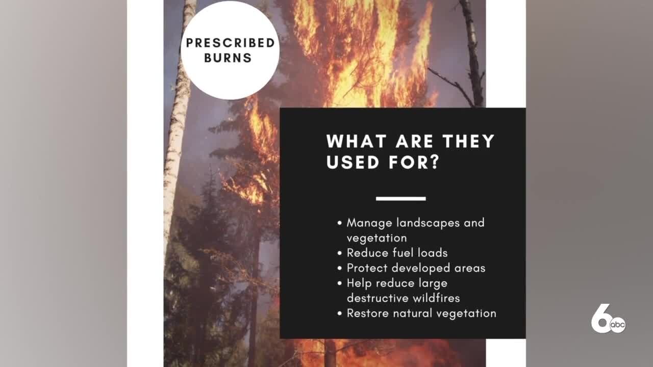Prescribed burns: What they are and how they help land management in Idaho