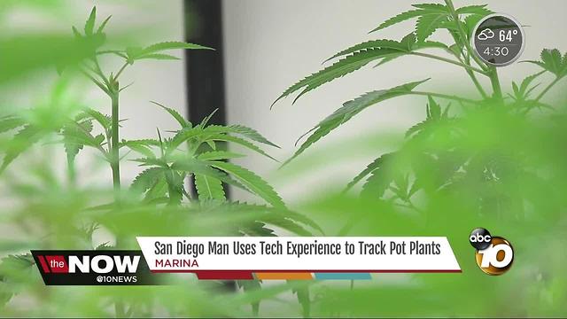San Diego man uses tech experience to track pot plants