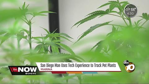 San Diego man uses tech experience to track pot plants