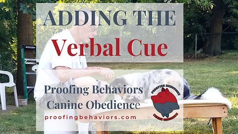 Adding the Verbal cue part 2