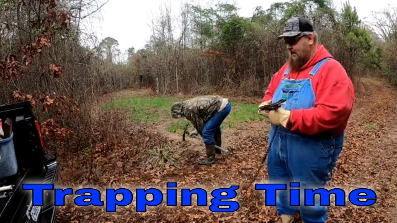 Trapping Raccoon Fast and Easy