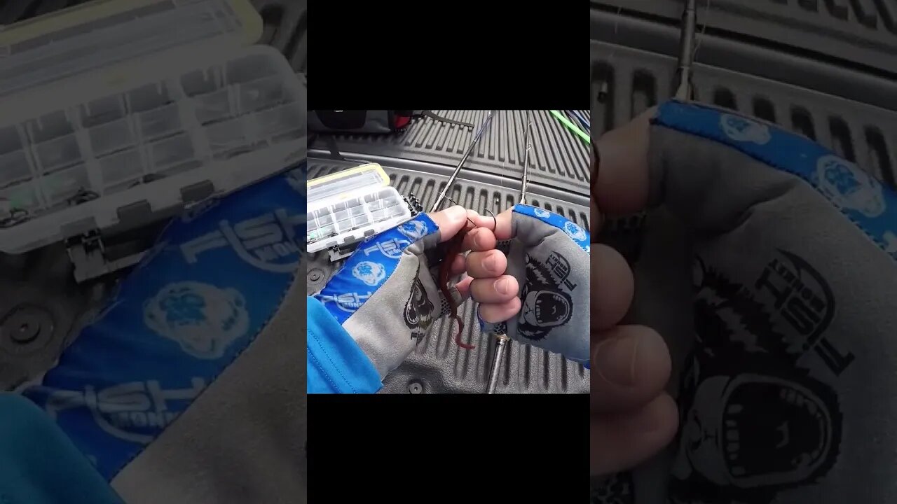 Rigging a Ribbontail Worm - Texas Rig