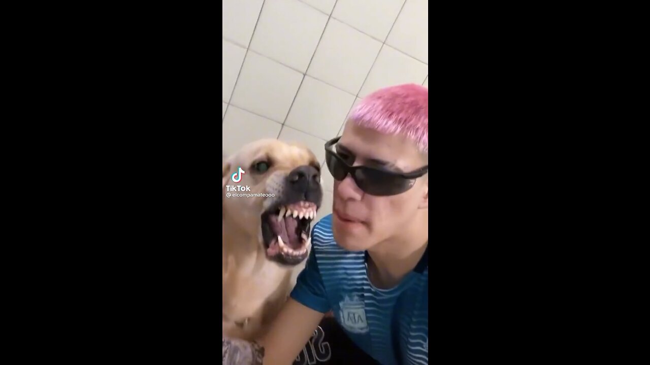 What is going on here 😂😂😂🤦🏾♂️😂😂😂