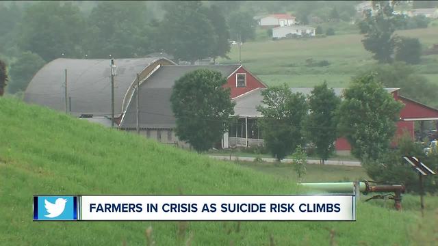 Farmers in crisis as suicide risk climbs