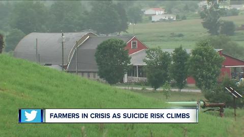 Farmers in crisis as suicide risk climbs