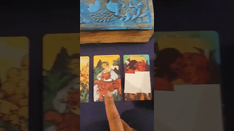 Weekly 3 Card Tarot Reading #tarot #shorts