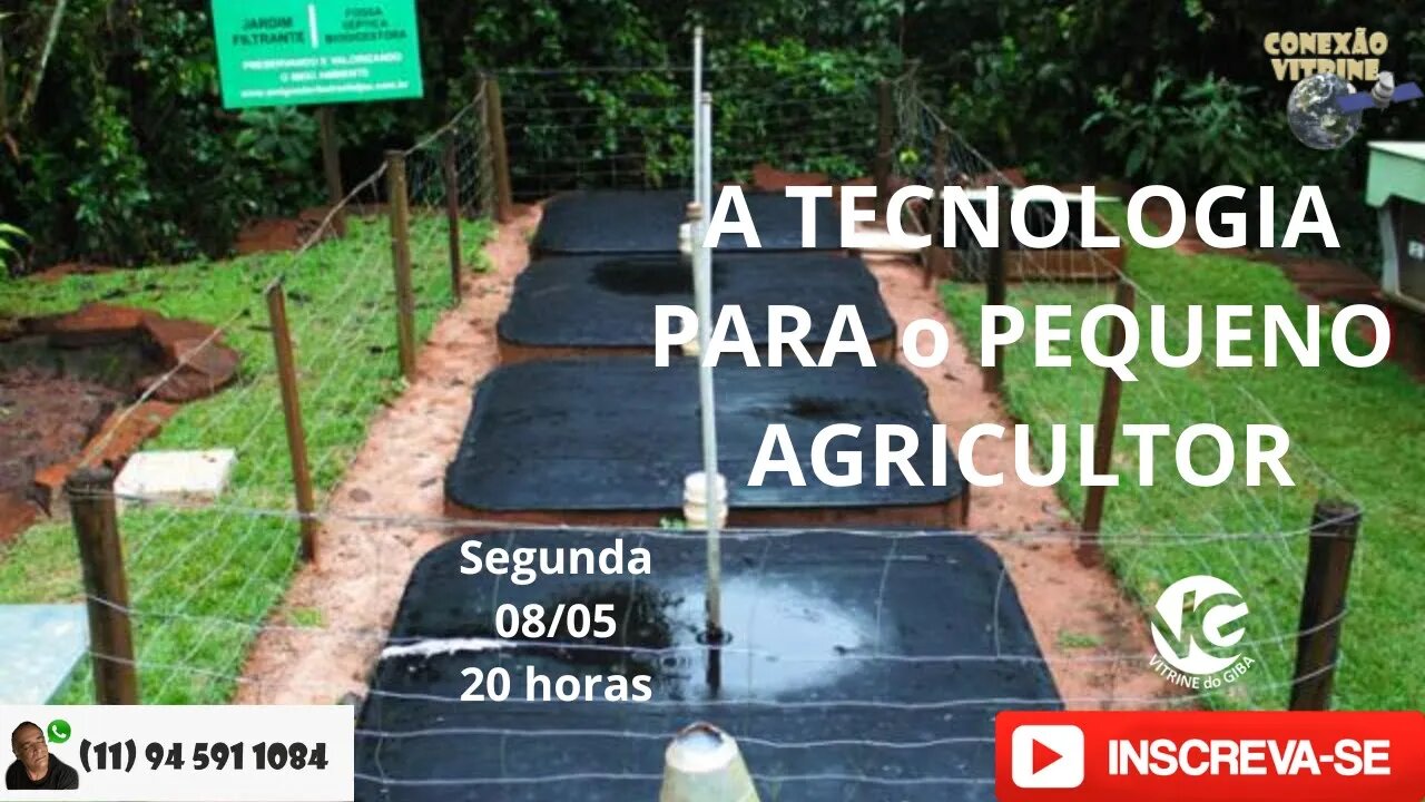 Conexão Vitrine / A tecnologia para o pequeno agricultor