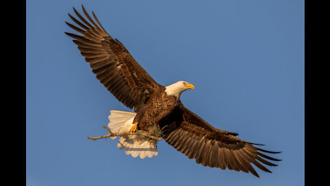 Kevin McFadden Photography - Best Of 2020 Slideshow