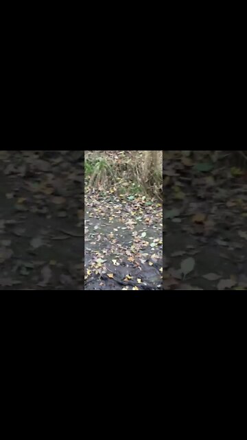 I had a feeling she was going to kick off. She was middle aged grey hair self righteous look.