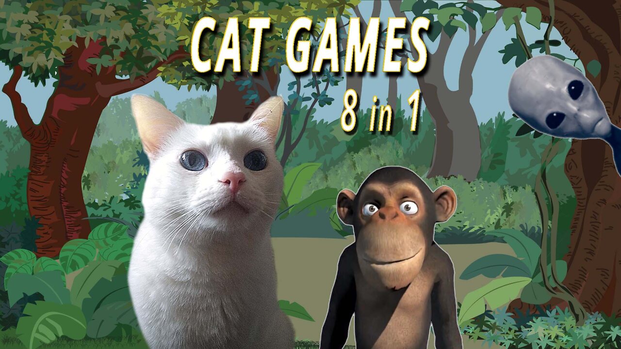 CAT GAMES: 8 in 1