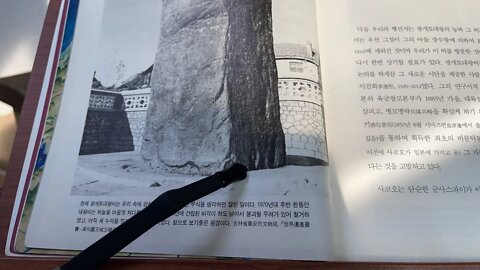 도올의 중국일기3 김용옥 고구려 재즈 광개토대왕비 호태왕비 장수왕 지리정지 간첩 사코오카케아키 탁본 변조 지리정지 병모명략 이진희 석회도부작전 원석 육군참모본주