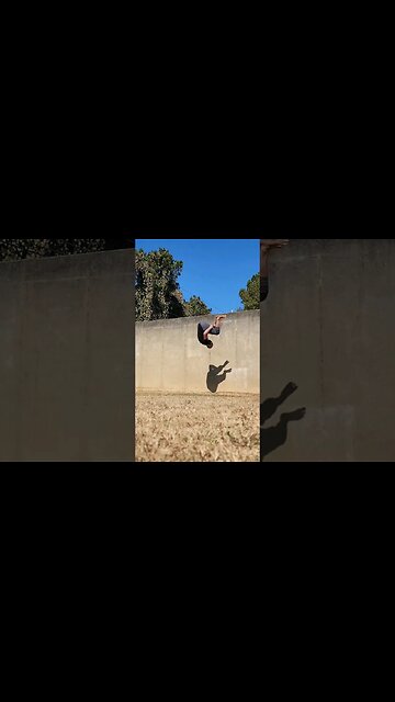 Fun playing with this wall Arabian Webster combo