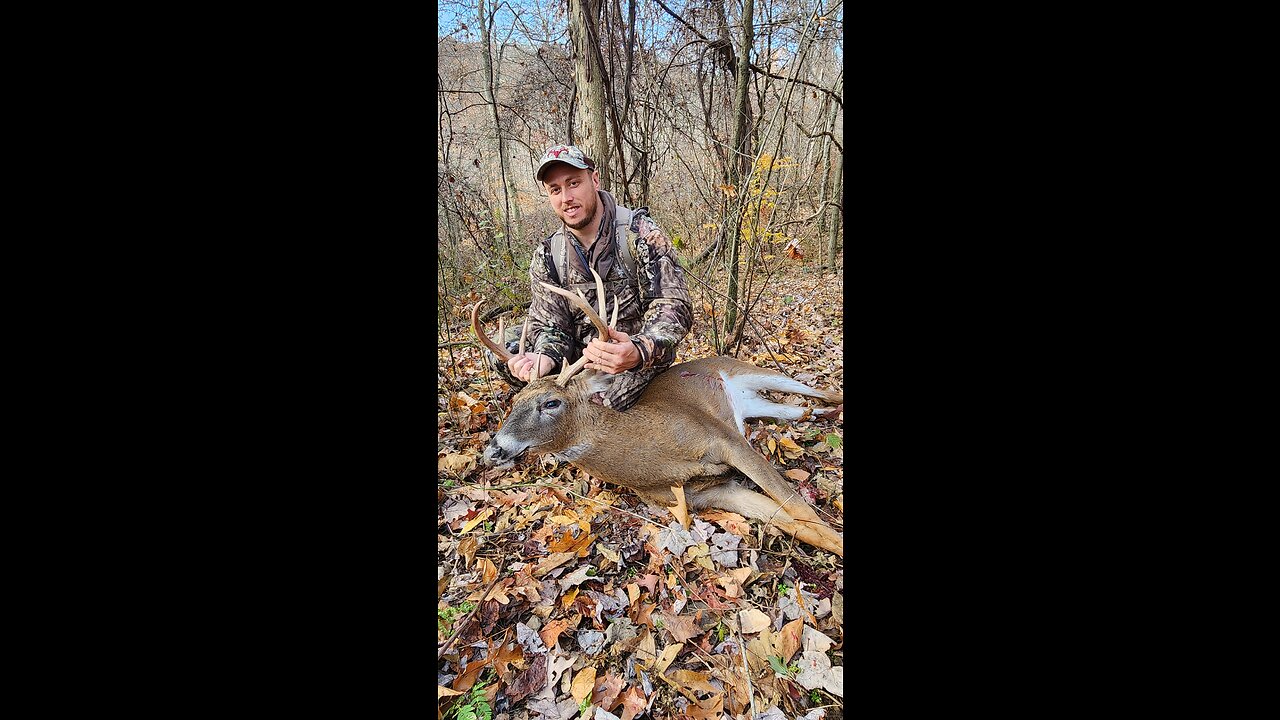 Archery Buck down!