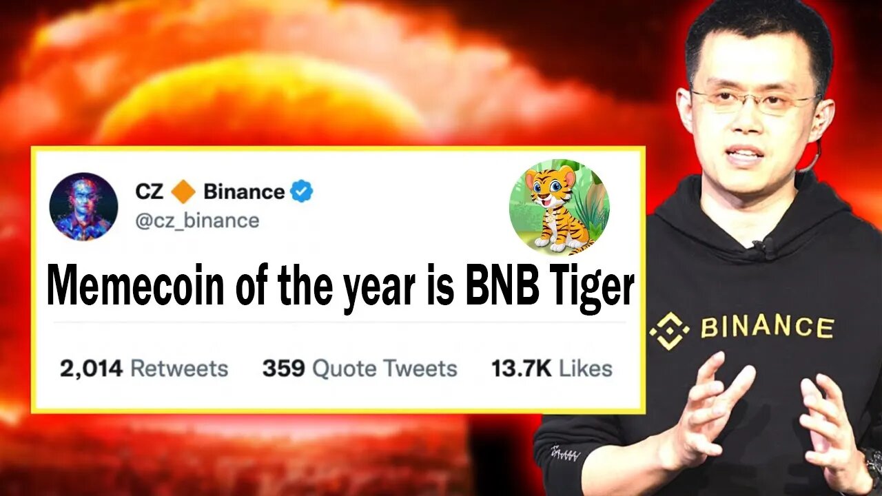 BNB TIGER HOLDERS!! THIS CHANGES EVERYTHING!! THIS VIDEO IS A MUST WATCH!!