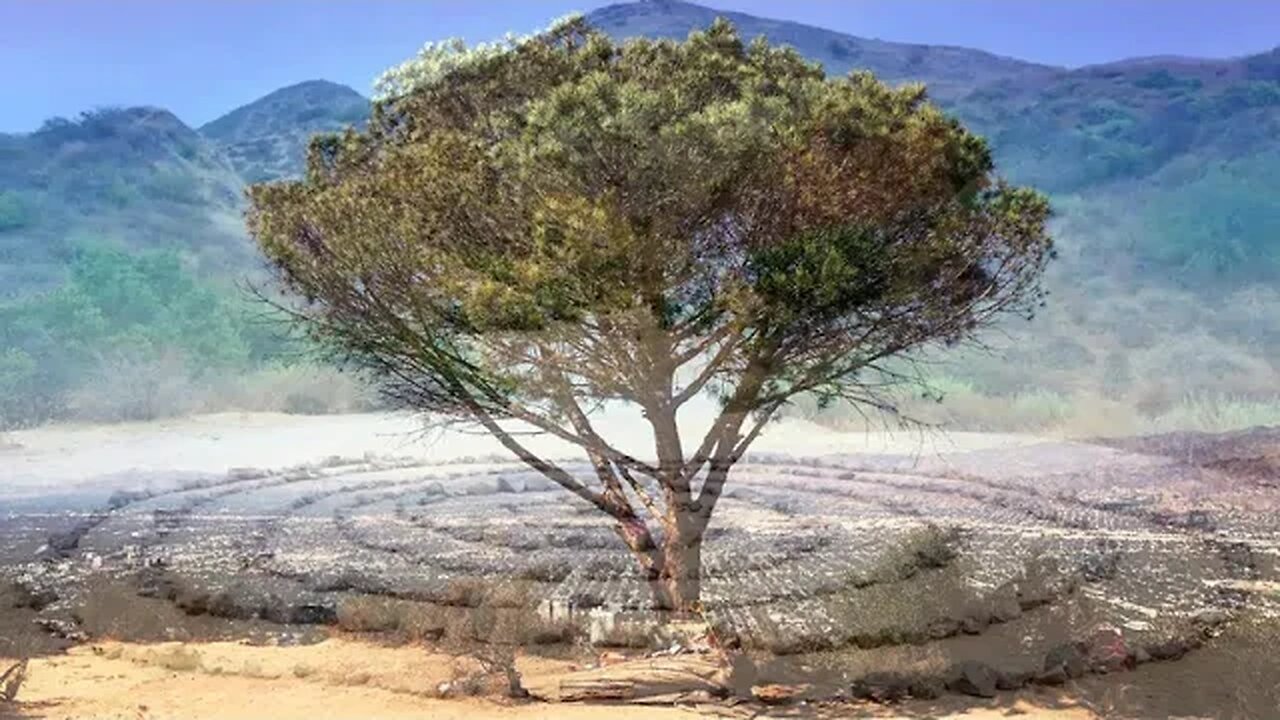 Méditations pour le nettoyage de la planète et de nous mêmes