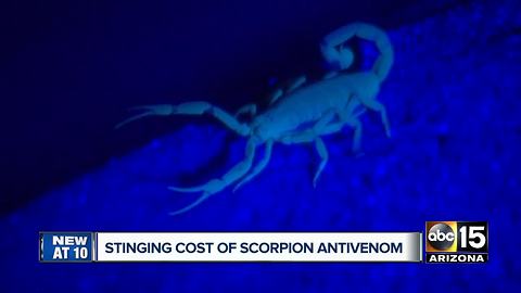 Scorpion antivenin in AZ: $10,000, in Mexico: $100