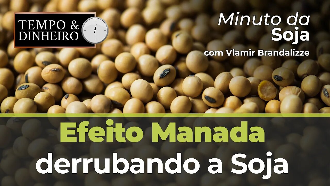Efeito Manada derrubando a Soja