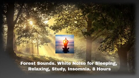Forest Sounds. White Noise for Sleeping, Relaxing, Study, Insomnia. 8 Hours