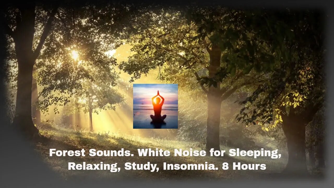 Forest Sounds. White Noise for Sleeping, Relaxing, Study, Insomnia. 8 Hours