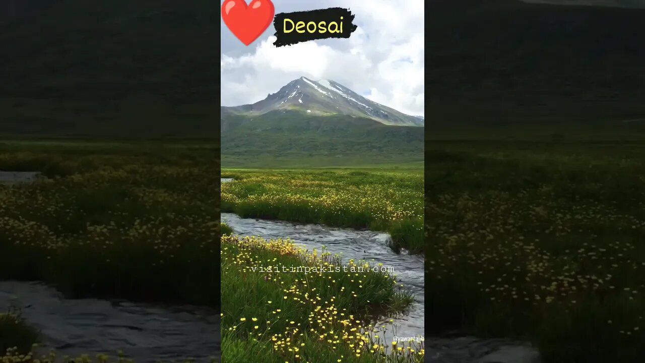 The #beautiful #deosai #viral #shorts