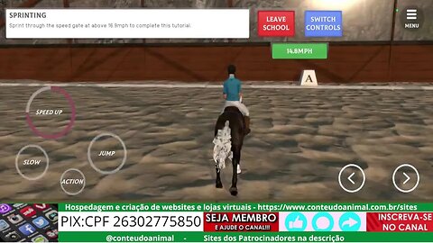 Horse Academy - Jogo do Android