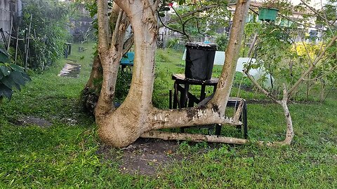 🔴 Peaceful Relaxing Urban Garden - "Meditation"