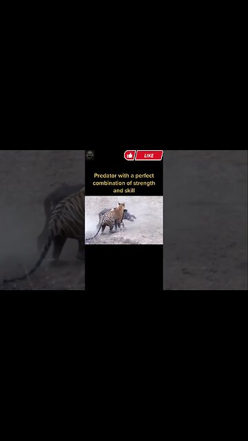 Exploring the Wonders of Wildlife: #shorts