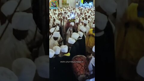 እመቤታችን ቅድስት ድንግል ማርያም አላረገችም ለምትሉ