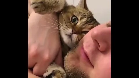 PLAYING CAT VIDEO MEAWWW