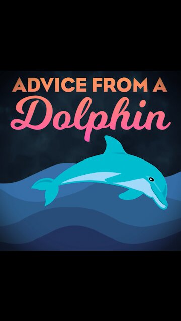 Advice From A Dolphin [GMG Originals]