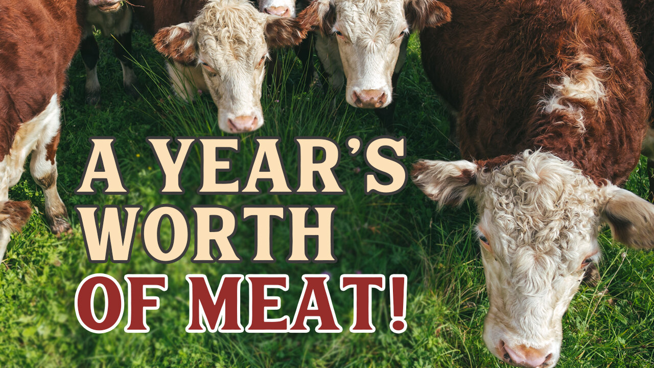 How we raise a YEAR'S worth of meat! | Pantry Chat