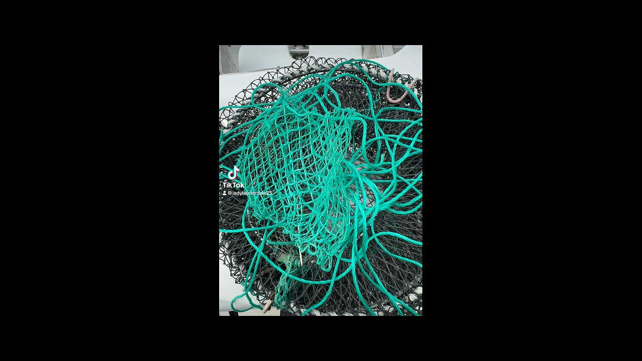 Setting traps