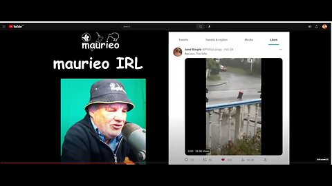maurieo IRL #033