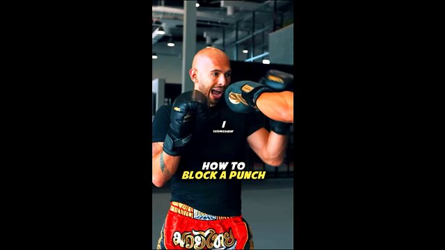 How to Block a Punch #AndrewTate