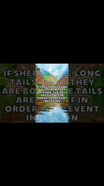 Incredible Random Facts That Will Expand Your Mind! [2023] #shorts #facts #viralshorts #fyp #life