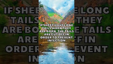 Incredible Random Facts That Will Expand Your Mind! [2023] #shorts #facts #viralshorts #fyp #life