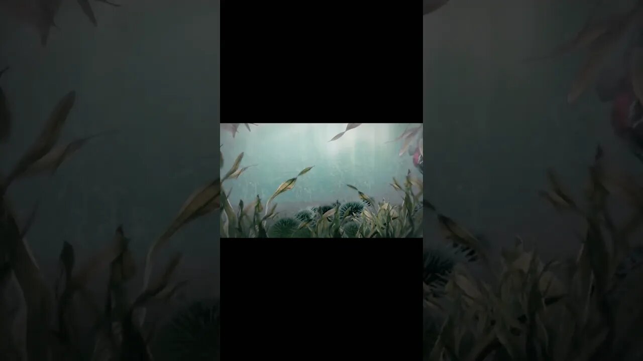 Aqua Marine #shortsfeed #shorts #shortsvideo #aquarium #aqua