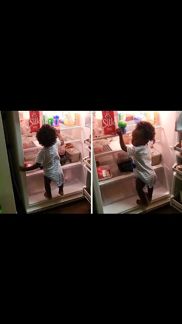 Sneaky Toddler Steals Milk Bottles From The Fridge