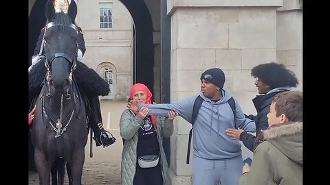 Karen's first 10 minutes of mayhem #horseguardsparade