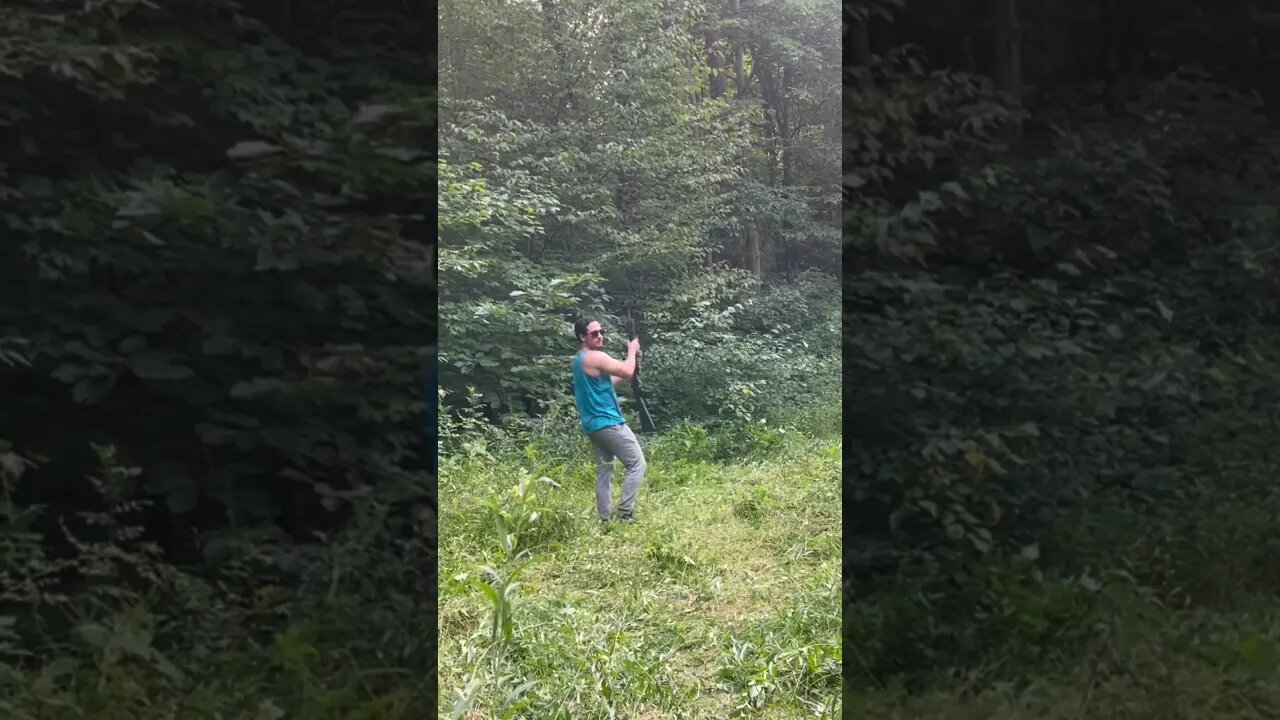Target Practice in the woods