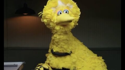 "Big Bird" takes a lie detector